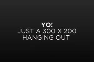 Image Alignment 300x200 Image Alignment 300x200
